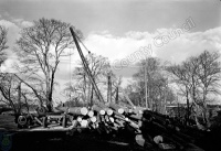 Unloading Logs, Saw Mill, Harewood Estate